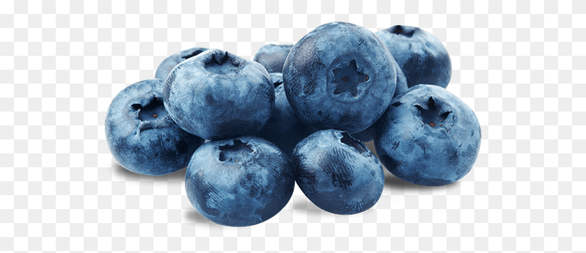 541x303 Bunch Of Blueberries, Blueberry, Fruit, Plant HD PNG Download