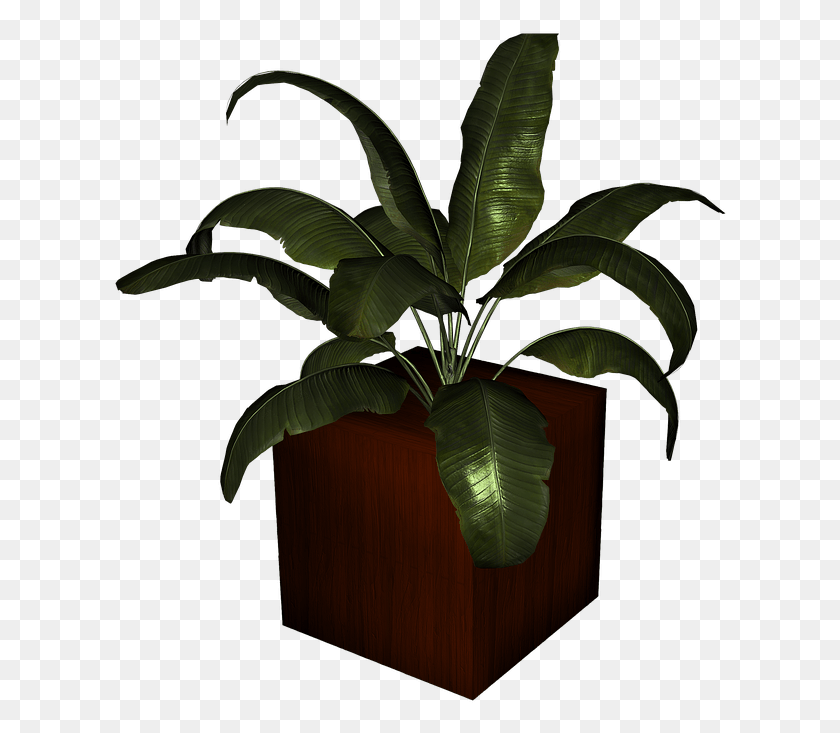 616x673 Bunga Pot Houseplant, Plant, Leaf, Vase HD PNG Download
