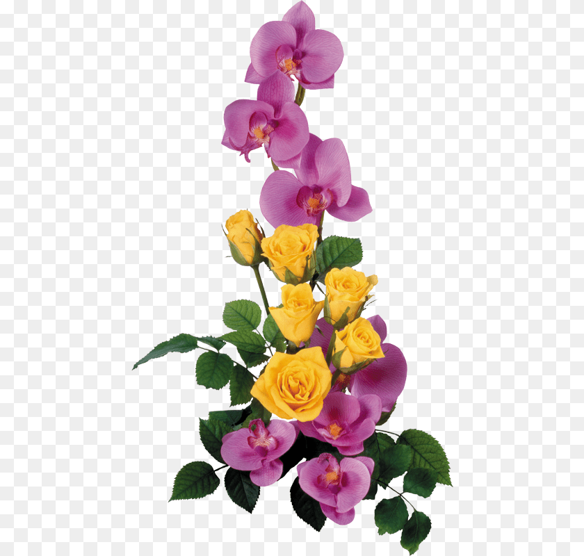 463x800 Bunga Splash, Flower, Flower Arrangement, Flower Bouquet, Plant Clipart PNG