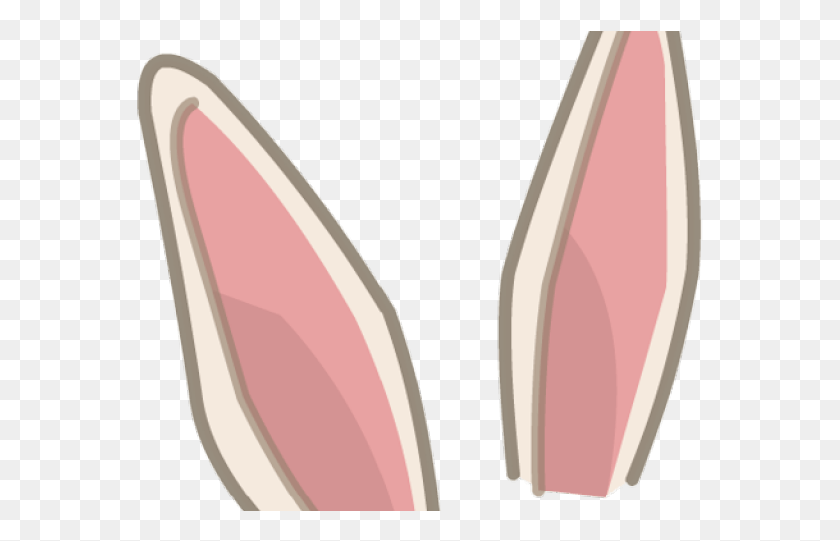 Bunny Ears No Background, Sea Life, Animal, Conch HD PNG Download