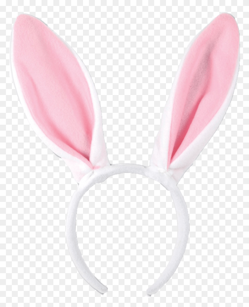 1201x1501 Bunny Ears Transparent Background Rabbits And Hares, Home Decor, Petal, Flower HD PNG Download