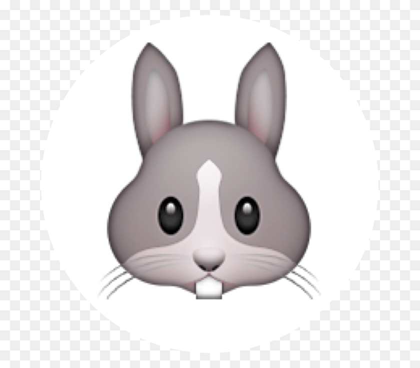 675x675 Кролик Emoji Iphone Кролик Emoji, Грызун, Млекопитающее, Животное Hd Png Скачать