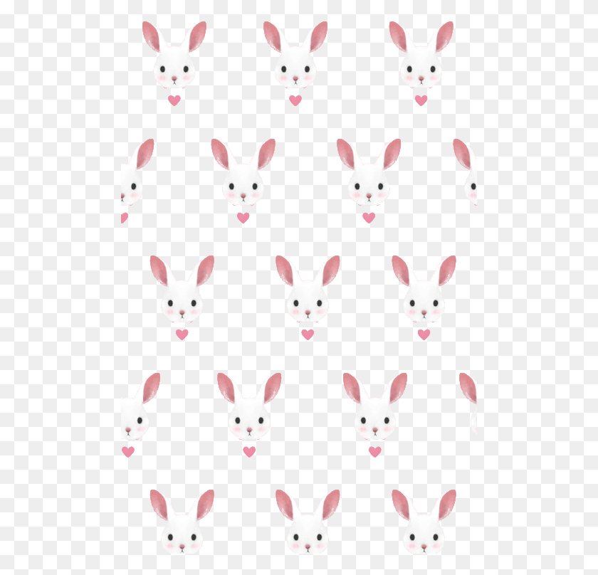 500x748 Кролик Кролик Фон Кролик Милые Обои Iphone, Млекопитающее, Животное, Грызун Png Скачать