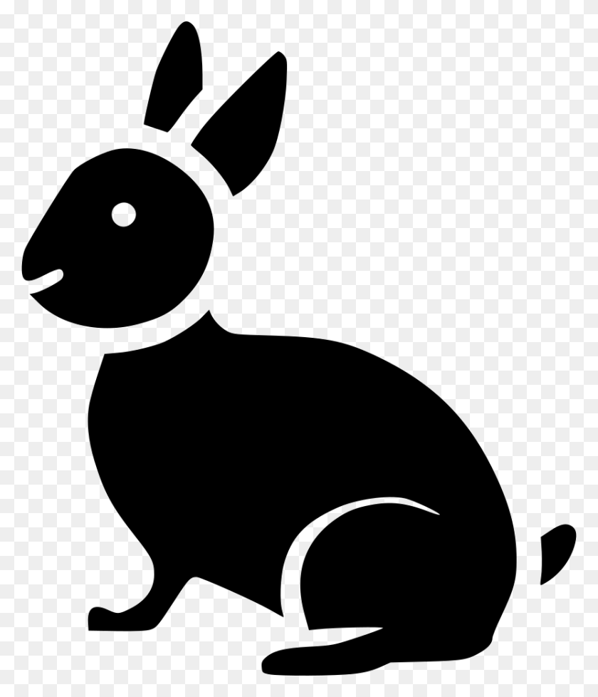 832x980 Кролик Кролик Милый Счастливый Животное Комментарии Милый Животное Значок, Млекопитающее, Трафарет, Грызун Hd Png Скачать