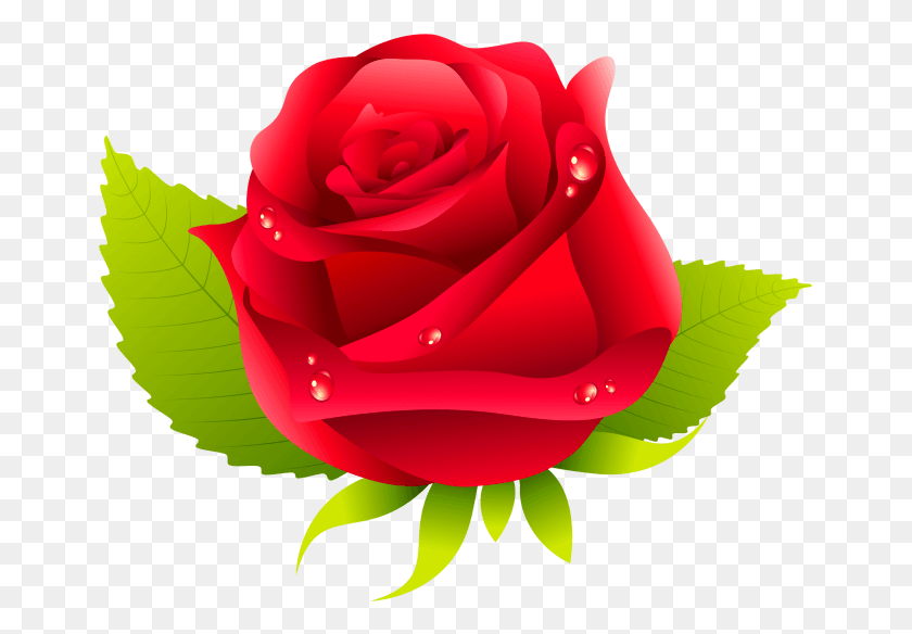 659x524 Buon Compleanno Mamma, Роза, Цветок, Растение Hd Png Скачать