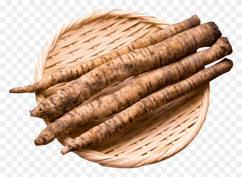 1458x1036 Burdock Root In Bowl Image Burdock, Basket, Plant, Woven HD PNG Download