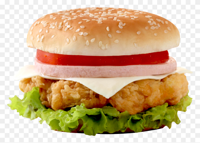 2899x2017 Burger Png / Hamburguesa Hd Png