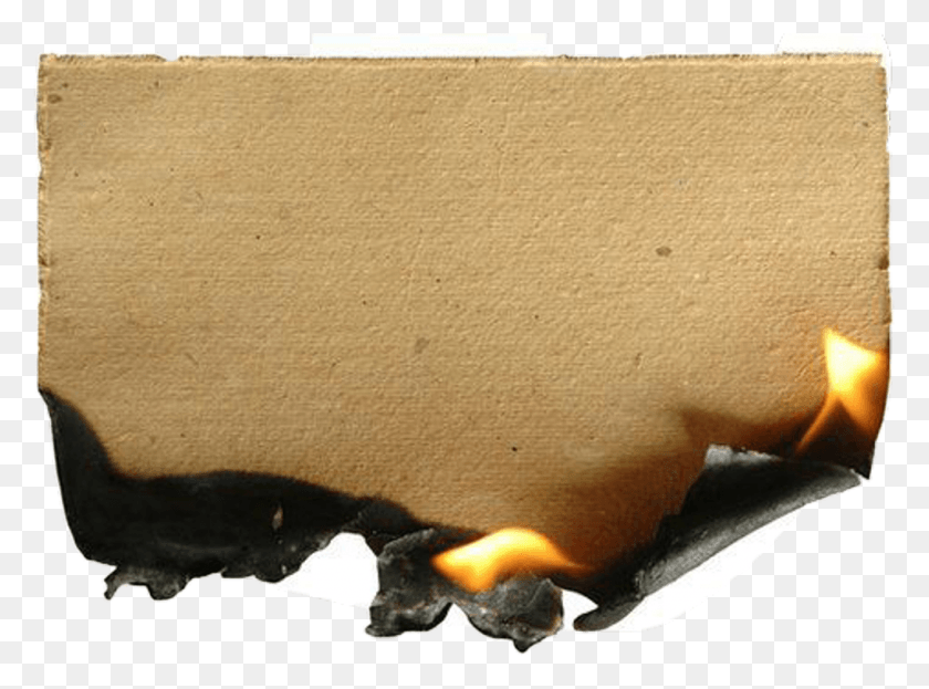 1024x740 Burn Paper Flame Texture Fire Freetoedit Burning Sheet Of Paper, Rug, Cardboard, Animal HD PNG Download