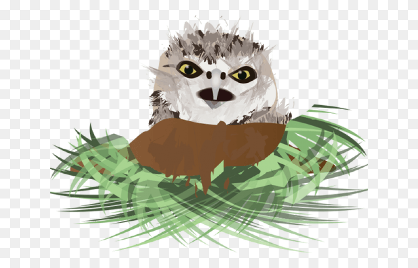 640x480 Burrowing Owl Clipart Flying Burrowing Owl Clip Art, Animal, Mammal, Face HD PNG Download
