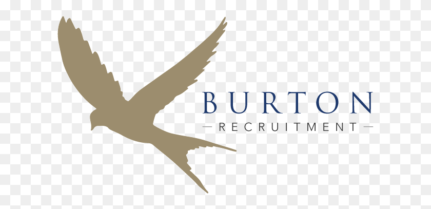 617x347 Burton Recruitment New Bird In Flight Silhouette, Tool, Mattock, Animal HD PNG Download