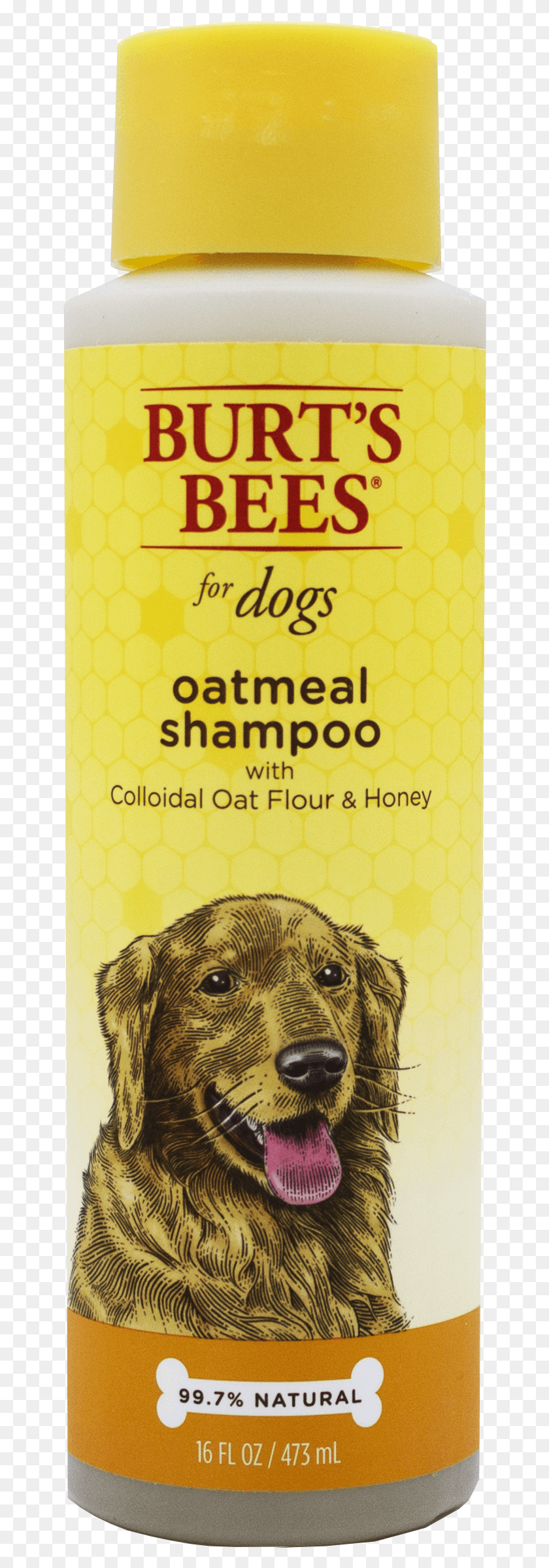 648x2337 Descargar Png Burts Bees Champú De Avena Para Perro Botella De 16 Oz Burt39S Bees Champú Para Perro, Anuncio, Cartel, Mascota Hd Png