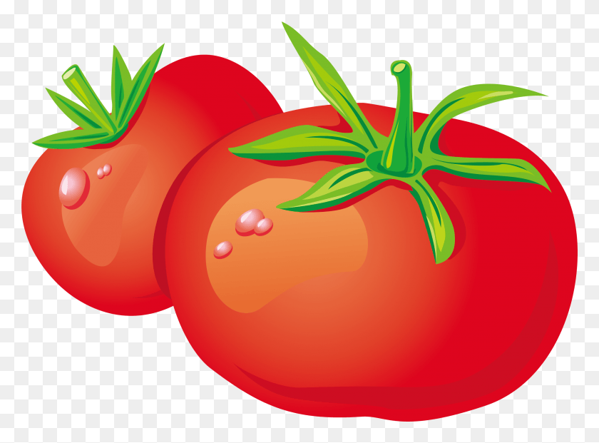 2679x1927 Bush Clipart Vegetal Planta Tomates Dibujos Animados, Alimentos, Tomate, Globo Hd Png Descargar