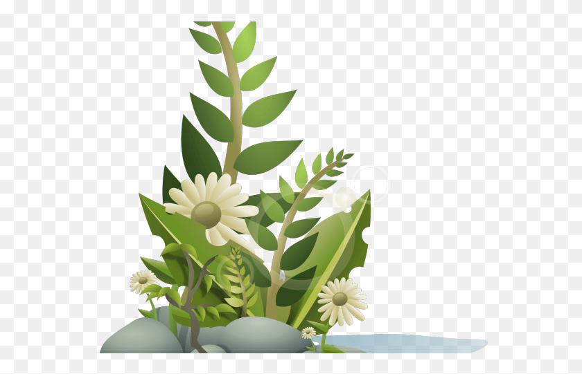 569x481 Bush Clipart Wild Plant Plants Clipart, Graphics, Floral Design HD PNG Download