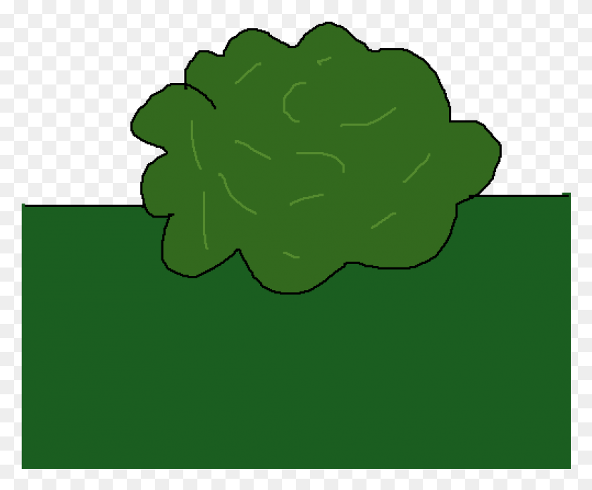 1001x817 Bush For The Bushiest Bushes Broccoli, Green, Plant, Flower HD PNG Download