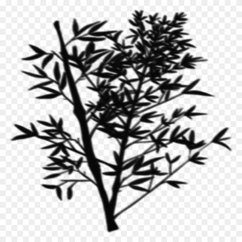 953x952 Bush Tree Branches Freetoedit Twig, Gray, World Of Warcraft HD PNG Download
