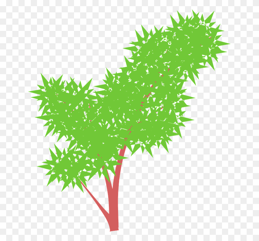 657x720 Bush Weeds Plant Green Nature Clip Art, Leaf, Tree, Maple Leaf HD PNG Download