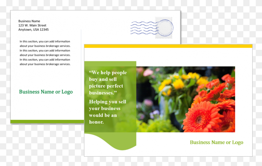 1291x784 Business Broker Postcard Template Chrysanths, Plant, Flower, Blossom Descargar Hd Png