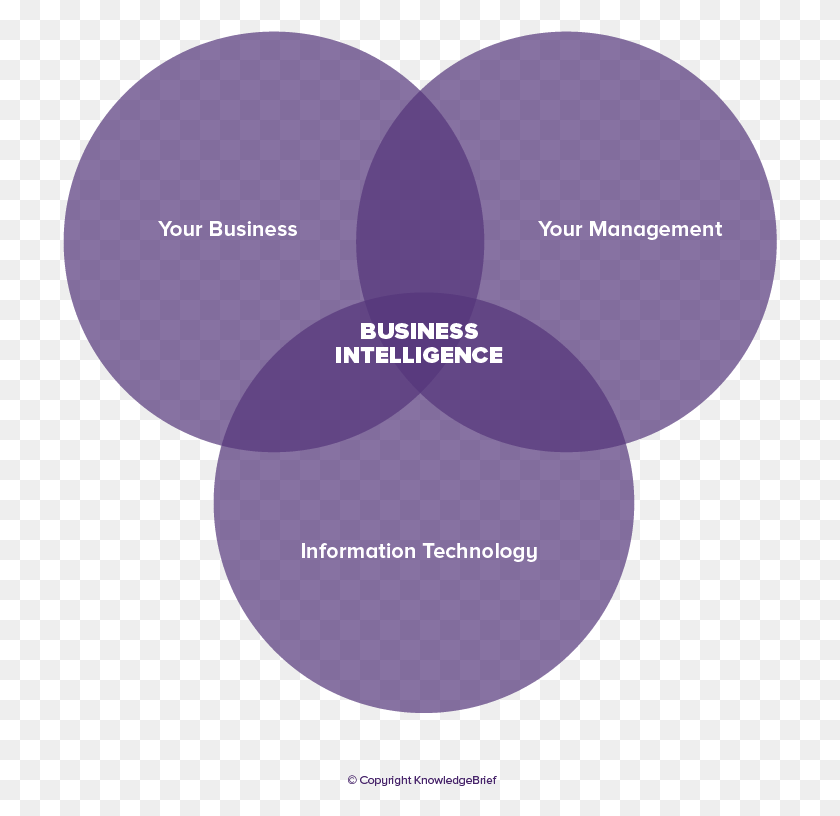 715x756 Business Intelligence Definition Business Intelligence Examples, Plot, Diagram, Heart Descargar Hd Png