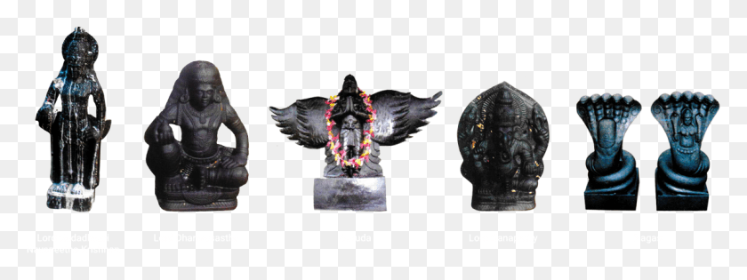 1137x373 Busto, Águila, Pájaro, Animal Hd Png