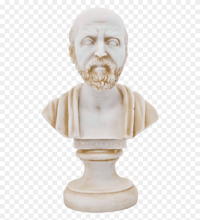 494x867 Bust, Ivory, Figurine, Sculpture HD PNG Download