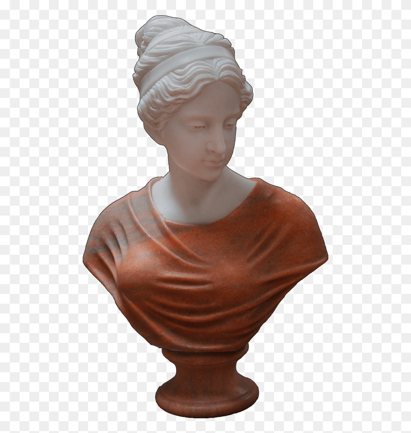 503x824 Busto Png / Busto Png
