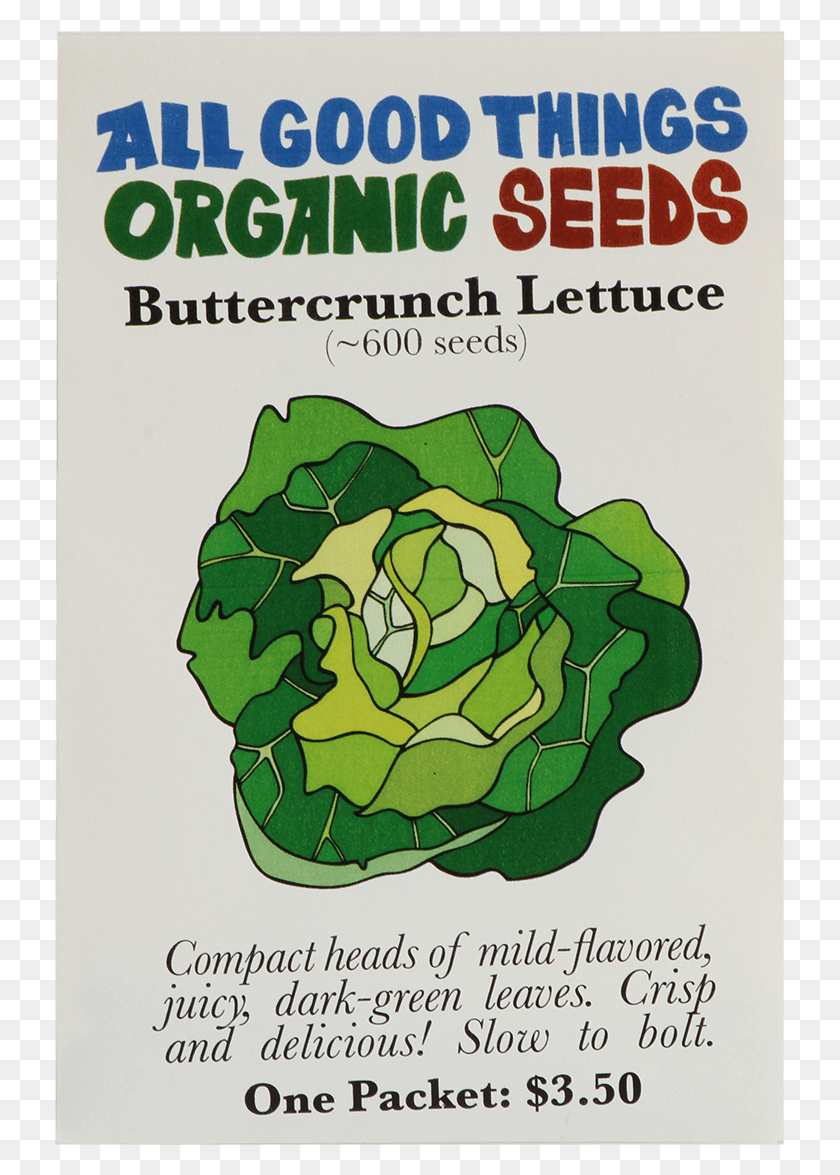 731x1115 Buttercrunch Lettuce Poster, Plant, Advertisement, Vegetable HD PNG Download