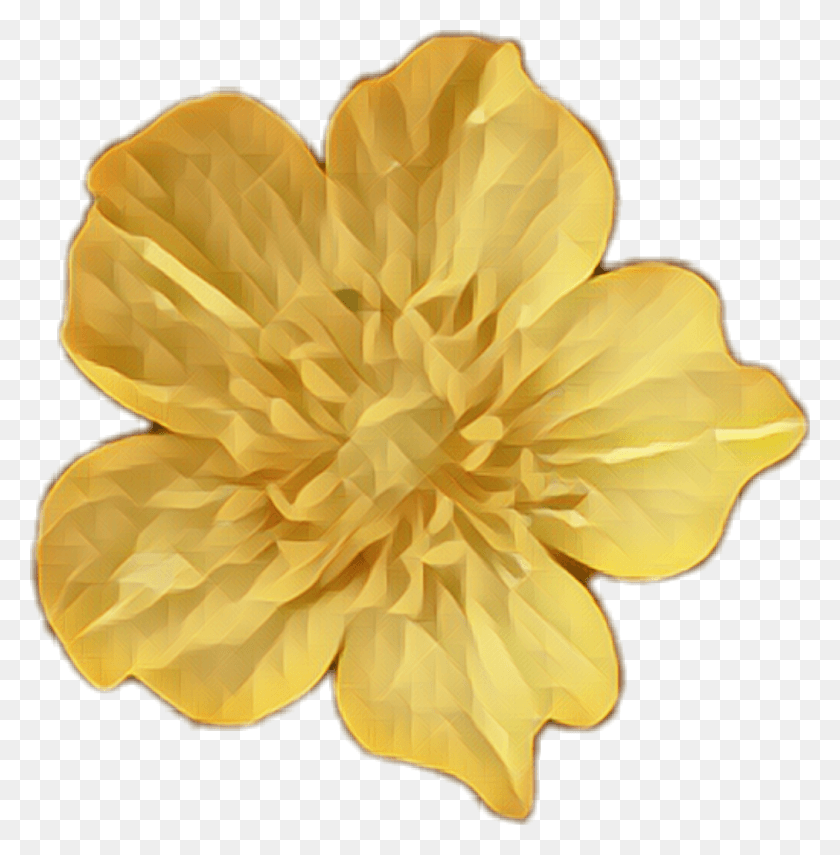 1012x1032 Flor Png / Flores De Oro Png