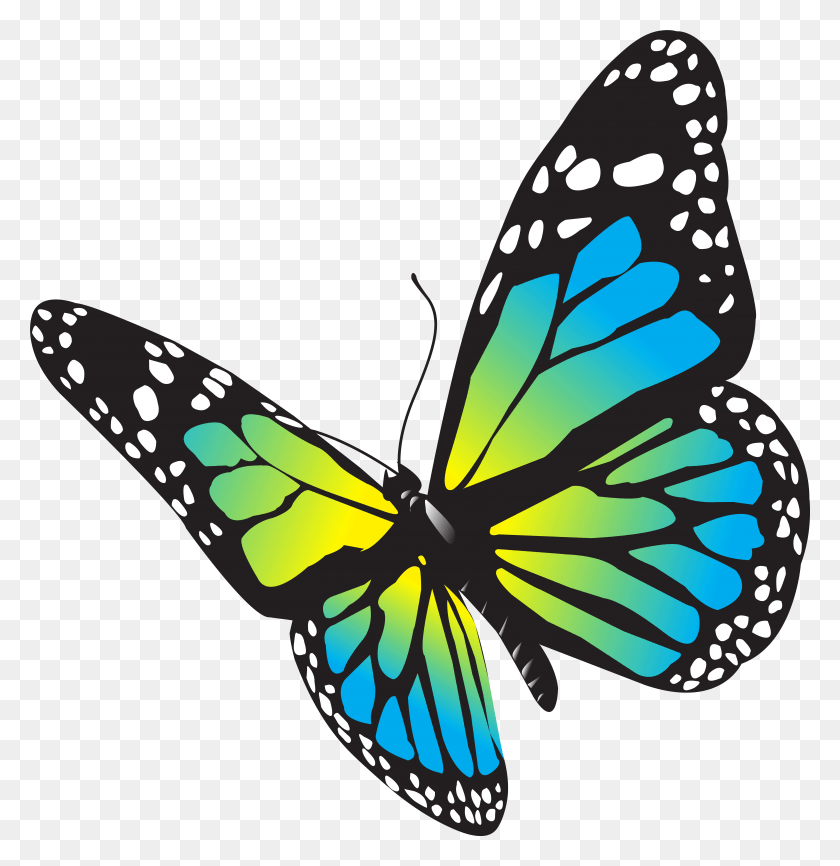 6943x7179 Butterflies, Butterfly, Insect, Invertebrate HD PNG Download