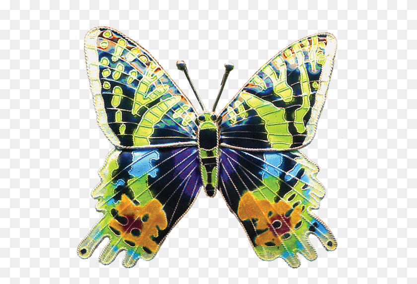 585x513 Butterflies Amp Moths Papilio Machaon, Pattern, Ornament, Animal HD PNG Download