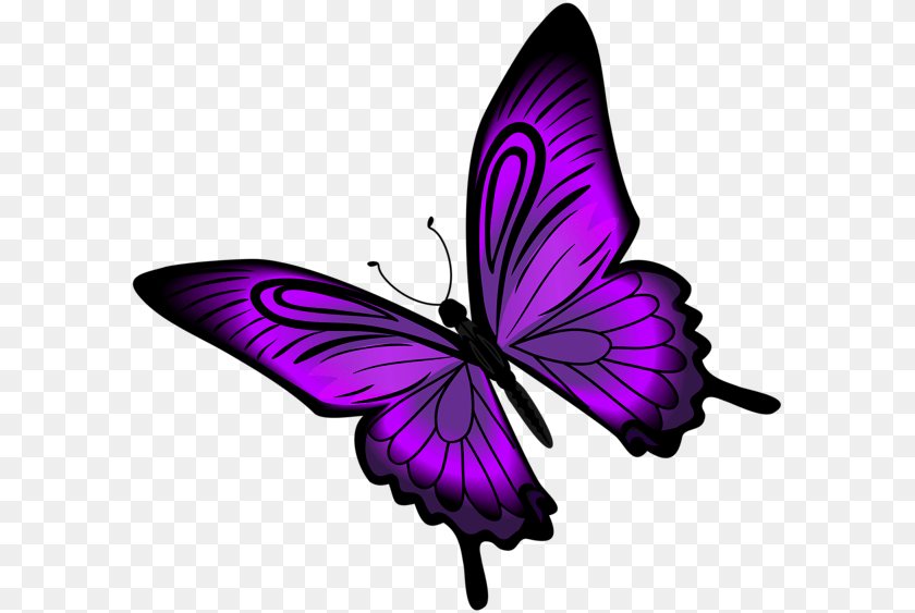 Butterflies Butterfly, Purple, Animal, Bird, Flying PNG