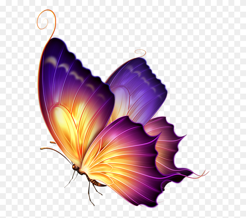 594x685 Butterflies Butterfly, Ornament, Pattern, Lamp HD PNG Download