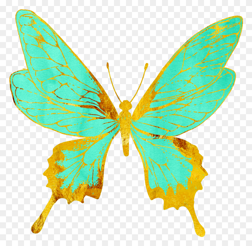 1005x979 Butterflies Butterfly Pastel Teal Gold Golden Pink Gold Butterfly, Ornament, Pattern, Bird HD PNG Download