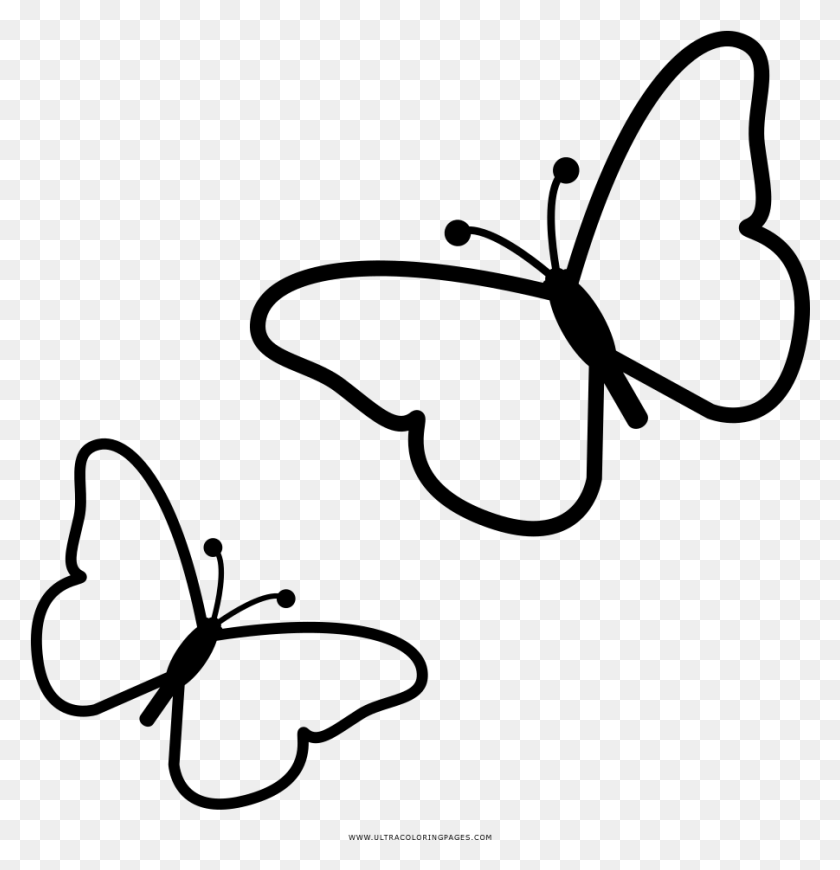 901x936 Butterflies Coloring, Gray, World Of Warcraft HD PNG Download