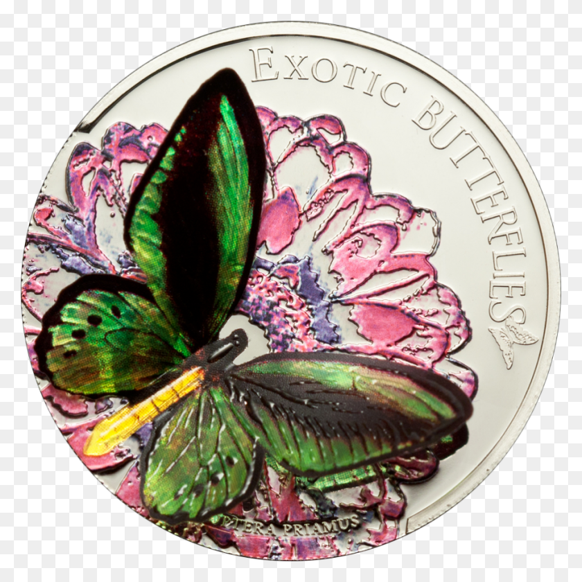 910x910 Butterflies Exotic Butterflies Tokelau, Accessories, Accessory, Money HD PNG Download