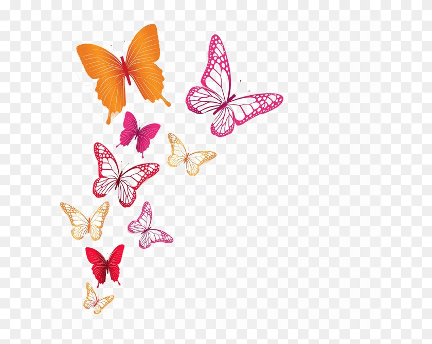 650x609 Бабочки Изображение Фона Прозрачный Фон Разноцветные Бабочки, Узор, Графика Hd Png Скачать
