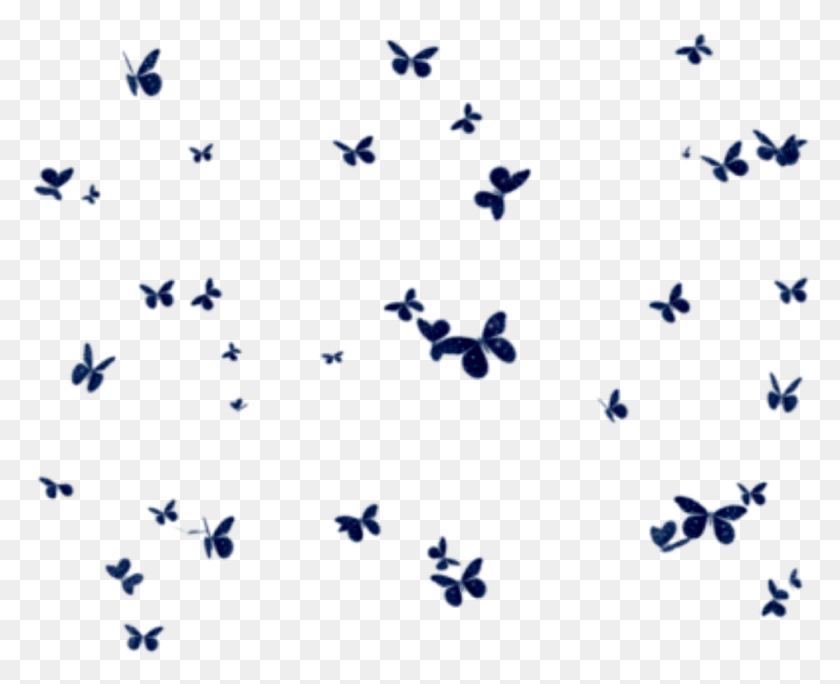 945x756 Бабочки Mariposas Mariposa Группа Бабочек Бабочка, Коврик, Сеть Hd Png Скачать