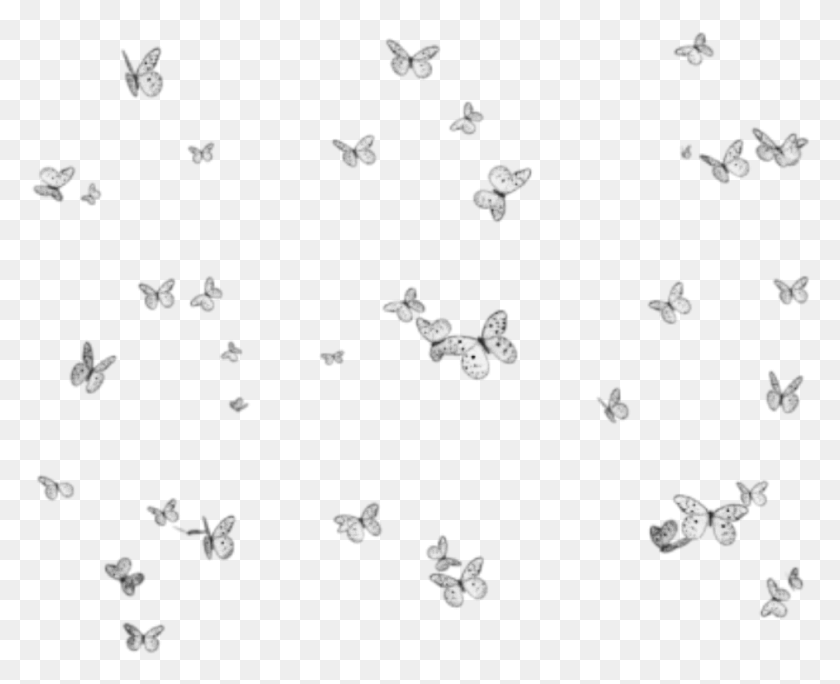 945x756 Butterflies Mariposas Mariposa Butterfly Group Grupo Imagem Fundo De Borboletas Em, Symbol, Paper, Snowflake HD PNG Download