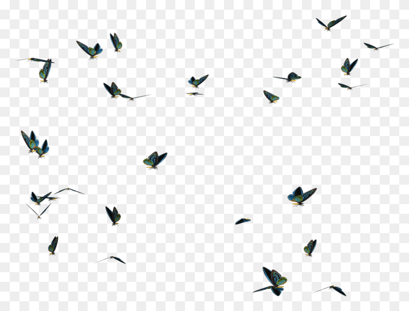 946x704 Descargar Png Mariposas Enjambre Passaros Voando Em Bando, Flying, Bird, Animal Hd Png