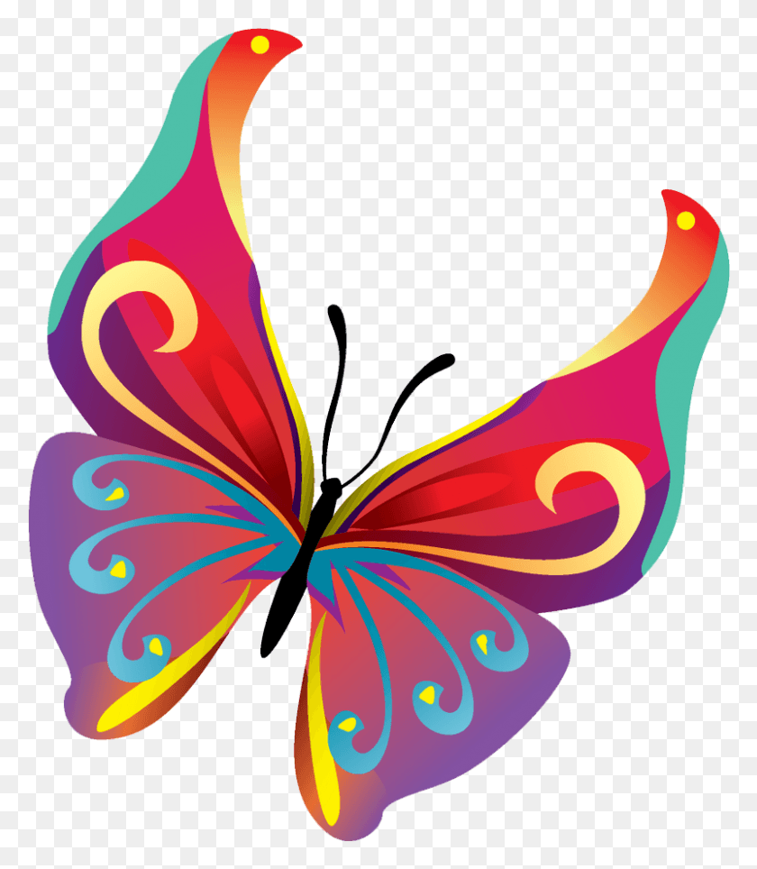 801x929 Бабочки Вектор Рисунок Мультфильм Изображение Бабочки, Графика, Цветок Hd Png Скачать