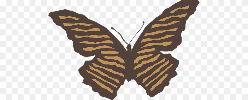 512x340 Butterfly Person, Animal, Insect, Invertebrate Transparent PNG