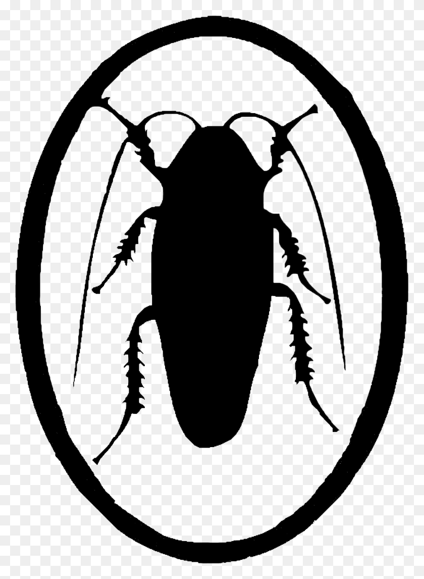 1090x1518 Butterfly And Cockroach Wolf Logo No Copyright, Insect, Invertebrate, Animal HD PNG Download