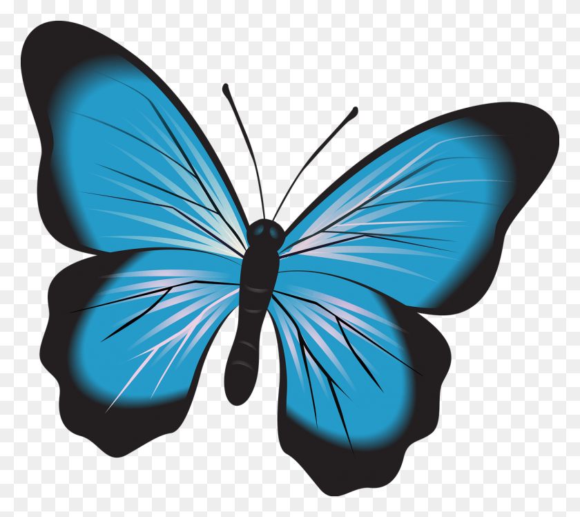 1280x1130 Бабочка Синяя Бесплатное Изображение На Pixabay Nature Imagini Cu Fluturi De, Графика, Насекомое Hd Png Скачать