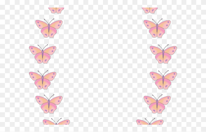 607x481 Бабочка Границы Клипарт Махаон Бабочка, Растение, Лист, Цветок Hd Png Скачать
