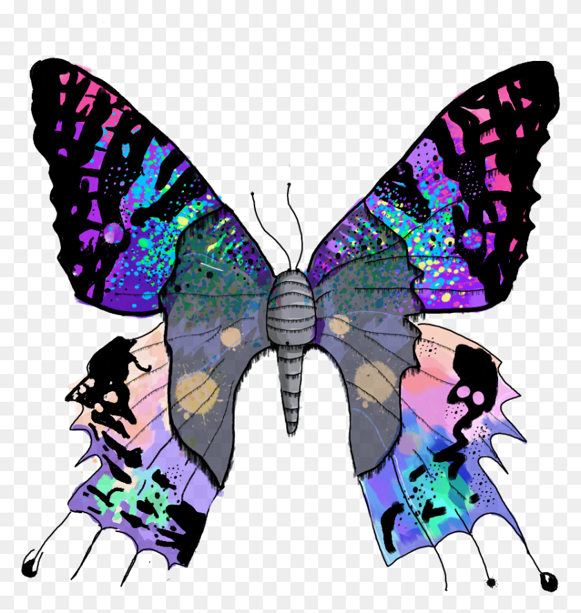 833x882 Butterfly Butterfliesstickerremix Mariposa Borboleta Chrysiridia Rhipheus, Graphics, Person HD PNG Download