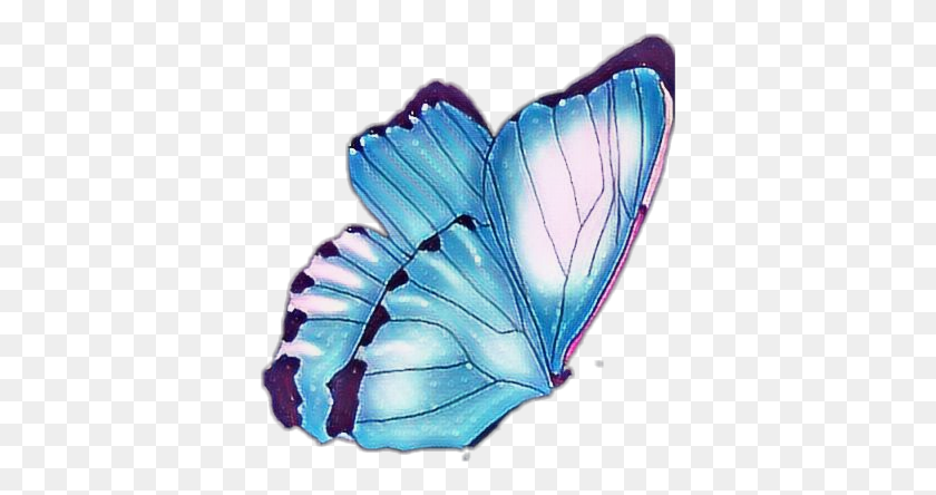 372x384 Butterfly Butterflywings Blue Wings Butterflies Swallowtail Butterfly, Insect, Invertebrate, Animal HD PNG Download
