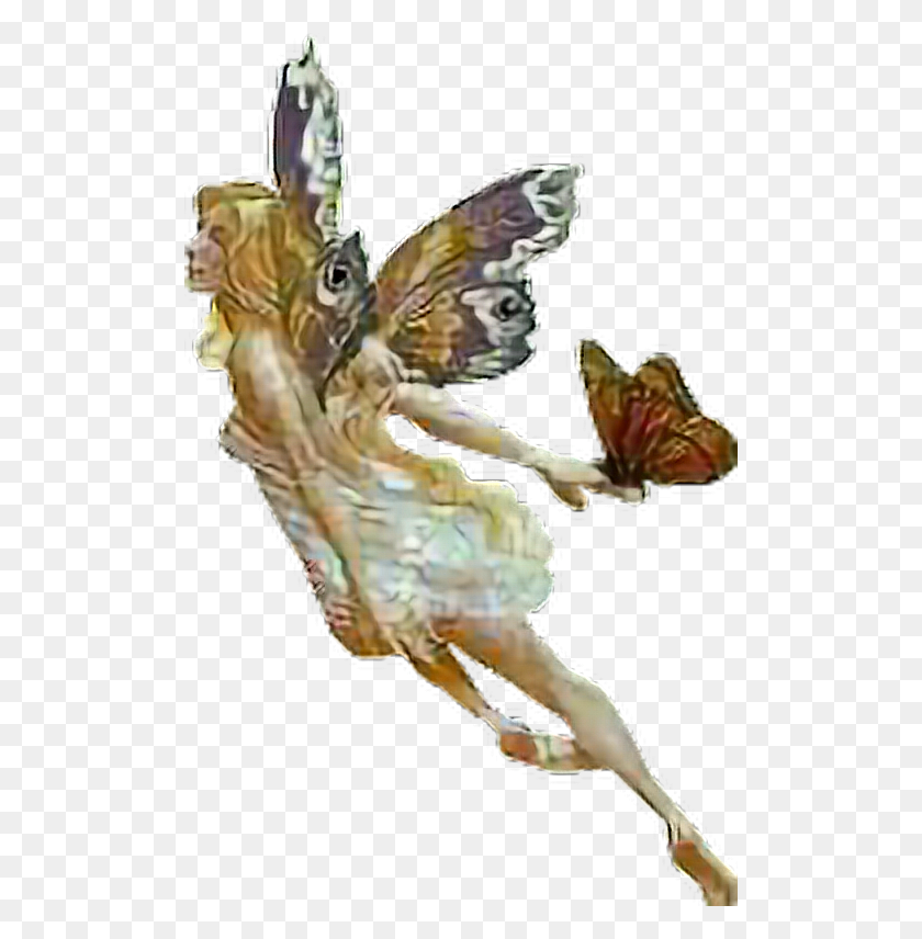 504x796 Butterfly Butterflywings Fairy Alas Mariposa Illustration, Animal, Bird HD PNG Download