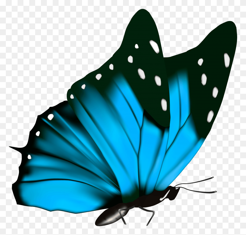 4941x4701 Butterfly Clipart Image Butterfly Full HD PNG Download