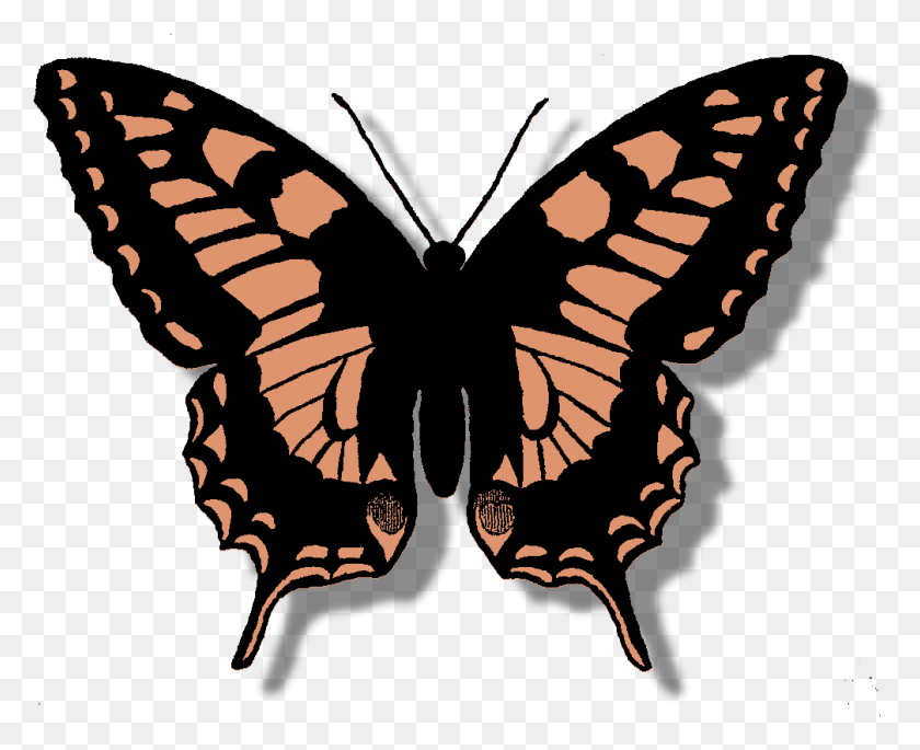 1007x807 Butterfly Clipart Peach Old World Swallowtail, Ornament, Statue, Sculpture HD PNG Download