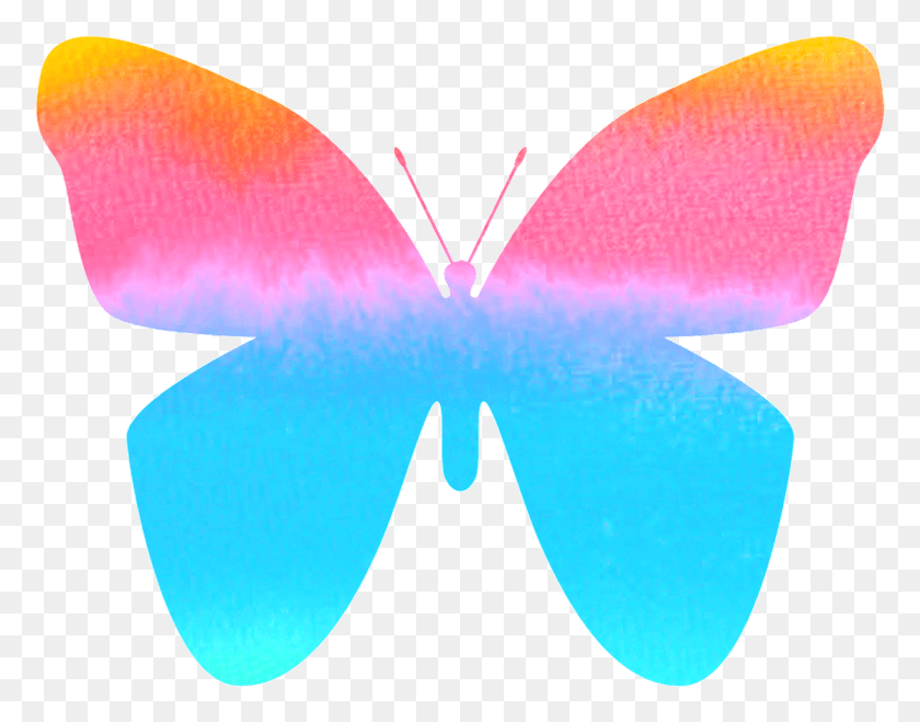 Butterfly Color Colorful Nature Image Artsy Butterfly, Fish, Animal, Balloon Descargar HD PNG