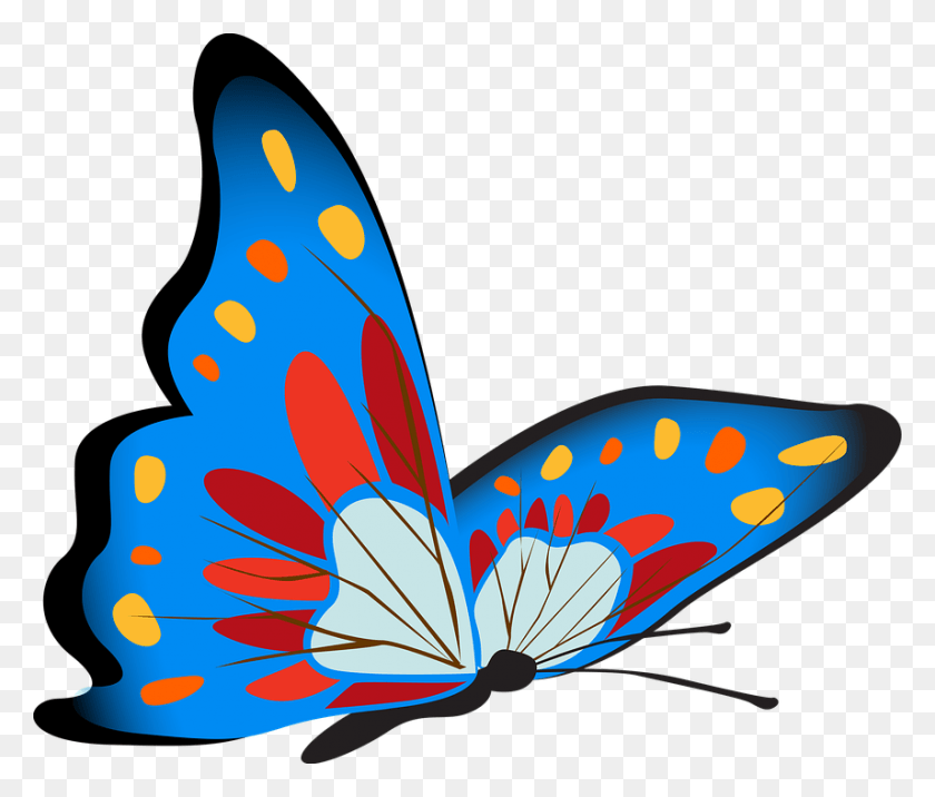 856x720 Бабочка Красочные Синие Насекомые Украшения Декор Гамбар Купу Купу Варна Варни, Графика, Цветочный Дизайн Hd Png Скачать